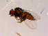  ( - 10PROBE-14696)  @12 [ ] CreativeCommons - Attribution (2011) CBG Photography Group Centre for Biodiversity Genomics