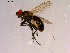  ( - 10PROBE-14714)  @13 [ ] CreativeCommons - Attribution (2011) CBG Photography Group Centre for Biodiversity Genomics