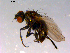  ( - 10PROBE-14746)  @12 [ ] CreativeCommons - Attribution (2011) CBG Photography Group Centre for Biodiversity Genomics