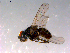  ( - 10PROBE-14751)  @13 [ ] CreativeCommons - Attribution (2011) CBG Photography Group Centre for Biodiversity Genomics