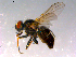  ( - 10PROBE-14755)  @13 [ ] CreativeCommons - Attribution (2011) CBG Photography Group Centre for Biodiversity Genomics