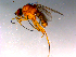  ( - 10PROBE-14807)  @13 [ ] CreativeCommons - Attribution (2011) CBG Photography Group Centre for Biodiversity Genomics