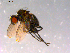  ( - 10PROBE-14832)  @12 [ ] CreativeCommons - Attribution (2011) CBG Photography Group Centre for Biodiversity Genomics