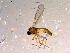  ( - 10PROBE-14850)  @12 [ ] CreativeCommons - Attribution (2011) CBG Photography Group Centre for Biodiversity Genomics