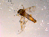  ( - 10PROBE-14894)  @12 [ ] CreativeCommons - Attribution (2011) CBG Photography Group Centre for Biodiversity Genomics