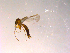  ( - 10PROBE-14910)  @12 [ ] CreativeCommons - Attribution (2011) CBG Photography Group Centre for Biodiversity Genomics