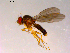  ( - 10PROBE-14936)  @13 [ ] CreativeCommons - Attribution (2011) CBG Photography Group Centre for Biodiversity Genomics