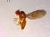  ( - 10PROBE-14937)  @12 [ ] CreativeCommons - Attribution (2011) CBG Photography Group Centre for Biodiversity Genomics