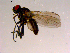  ( - 10PROBE-15007)  @12 [ ] CreativeCommons - Attribution (2011) CBG Photography Group Centre for Biodiversity Genomics