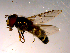  ( - 10PROBE-15042)  @13 [ ] CreativeCommons - Attribution (2011) CBG Photography Group Centre for Biodiversity Genomics
