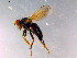  ( - 10PROBE-15056)  @13 [ ] CreativeCommons - Attribution (2011) CBG Photography Group Centre for Biodiversity Genomics