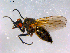  ( - 10PROBE-15061)  @14 [ ] CreativeCommons - Attribution (2011) CBG Photography Group Centre for Biodiversity Genomics