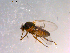  ( - 10PROBE-15079)  @12 [ ] CreativeCommons - Attribution (2011) CBG Photography Group Centre for Biodiversity Genomics
