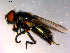  ( - 10PROBE-15097)  @13 [ ] CreativeCommons - Attribution (2011) CBG Photography Group Centre for Biodiversity Genomics