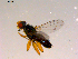  ( - 10PROBE-15144)  @13 [ ] CreativeCommons - Attribution (2011) CBG Photography Group Centre for Biodiversity Genomics