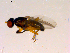  ( - 10PROBE-15175)  @12 [ ] CreativeCommons - Attribution (2011) CBG Photography Group Centre for Biodiversity Genomics