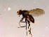  ( - 10PROBE-15179)  @13 [ ] CreativeCommons - Attribution (2011) CBG Photography Group Centre for Biodiversity Genomics