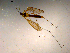  ( - 10PROBE-15207)  @12 [ ] CreativeCommons - Attribution (2011) CBG Photography Group Centre for Biodiversity Genomics
