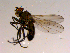  ( - 10PROBE-15221)  @12 [ ] CreativeCommons - Attribution (2011) CBG Photography Group Centre for Biodiversity Genomics