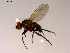  ( - 10PROBE-15225)  @12 [ ] CreativeCommons - Attribution (2011) CBG Photography Group Centre for Biodiversity Genomics