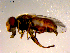  ( - 10PROBE-15282)  @12 [ ] CreativeCommons - Attribution (2011) CBG Photography Group Centre for Biodiversity Genomics