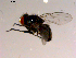  ( - 10PROBE-15301)  @12 [ ] CreativeCommons - Attribution (2011) CBG Photography Group Centre for Biodiversity Genomics