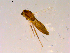  ( - 10PROBE-15318)  @12 [ ] CreativeCommons - Attribution (2011) CBG Photography Group Centre for Biodiversity Genomics
