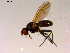  ( - 10PROBE-15354)  @13 [ ] CreativeCommons - Attribution (2011) CBG Photography Group Centre for Biodiversity Genomics