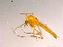  ( - 10PROBE-15409)  @13 [ ] CreativeCommons - Attribution (2011) CBG Photography Group Centre for Biodiversity Genomics