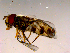  ( - 10PROBE-15435)  @13 [ ] CreativeCommons - Attribution (2011) CBG Photography Group Centre for Biodiversity Genomics