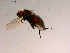  ( - 10PROBE-15780)  @12 [ ] CreativeCommons - Attribution (2011) CBG Photography Group Centre for Biodiversity Genomics