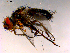  ( - 10PROBE-15848)  @12 [ ] CreativeCommons - Attribution (2011) CBG Photography Group Centre for Biodiversity Genomics