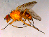  ( - 10PROBE-15856)  @13 [ ] CreativeCommons - Attribution (2011) CBG Photography Group Centre for Biodiversity Genomics