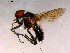  ( - 10PROBE-15860)  @13 [ ] CreativeCommons - Attribution (2011) CBG Photography Group Centre for Biodiversity Genomics