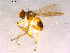  ( - 10PROBE-15868)  @13 [ ] CreativeCommons - Attribution (2011) CBG Photography Group Centre for Biodiversity Genomics