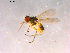  ( - 10PROBE-15872)  @13 [ ] CreativeCommons - Attribution (2011) CBG Photography Group Centre for Biodiversity Genomics