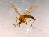  ( - 10PROBE-15889)  @13 [ ] CreativeCommons - Attribution (2011) CBG Photography Group Centre for Biodiversity Genomics