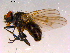  ( - 10PROBE-16018)  @13 [ ] CreativeCommons - Attribution (2011) CBG Photography Group Centre for Biodiversity Genomics