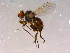  ( - 10PROBE-16019)  @13 [ ] CreativeCommons - Attribution (2011) CBG Photography Group Centre for Biodiversity Genomics