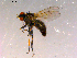  ( - 10PROBE-16030)  @13 [ ] CreativeCommons - Attribution (2011) CBG Photography Group Centre for Biodiversity Genomics