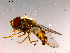  ( - 10PROBE-16082)  @13 [ ] CreativeCommons - Attribution (2011) CBG Photography Group Centre for Biodiversity Genomics