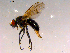  ( - 10PROBE-16096)  @13 [ ] CreativeCommons - Attribution (2011) CBG Photography Group Centre for Biodiversity Genomics