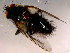  ( - 10PROBE-16110)  @12 [ ] CreativeCommons - Attribution (2011) CBG Photography Group Centre for Biodiversity Genomics