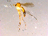  ( - 10PROBE-16118)  @12 [ ] CreativeCommons - Attribution (2011) CBG Photography Group Centre for Biodiversity Genomics