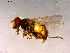  ( - 10PROBE-16192)  @12 [ ] CreativeCommons - Attribution (2011) CBG Photography Group Centre for Biodiversity Genomics