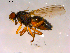  ( - 10PROBE-16235)  @13 [ ] CreativeCommons - Attribution (2011) CBG Photography Group Centre for Biodiversity Genomics