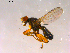  ( - 10PROBE-16236)  @13 [ ] CreativeCommons - Attribution (2011) CBG Photography Group Centre for Biodiversity Genomics