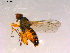  ( - 10PROBE-16241)  @13 [ ] CreativeCommons - Attribution (2011) CBG Photography Group Centre for Biodiversity Genomics