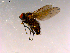  ( - 10PROBE-16248)  @12 [ ] CreativeCommons - Attribution (2011) CBG Photography Group Centre for Biodiversity Genomics