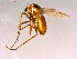  ( - 10PROBE-16273)  @13 [ ] CreativeCommons - Attribution (2011) CBG Photography Group Centre for Biodiversity Genomics